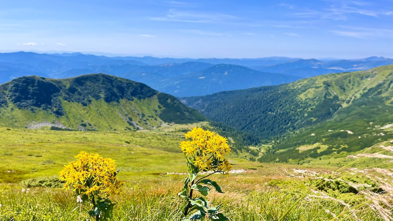 Підйом на Шпиці. Ребра. Гутин Томнатик. Озеро Бребенескул. 8.08.2025