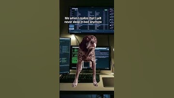 Coding setup means you