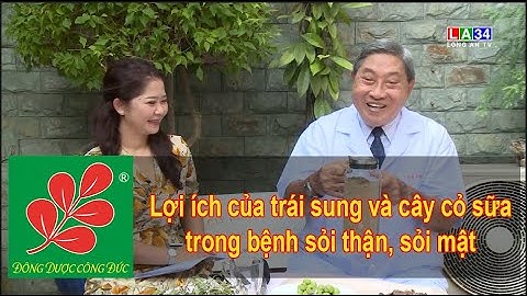 LỢI ÍCH CỦA TRÁI SUNG VÀ CÂY CỎ SỮA TRONG BỆNH SỎI THẬN, SỎI MẬT - Lương Y Nguyễn Công Đức