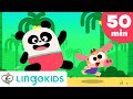 Action songs for kids  nursery rhymes  lingokids