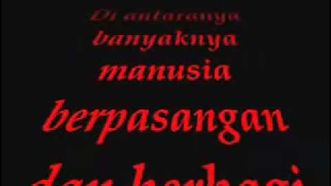 BIP_Struggle(Takkan Pernah).wmv