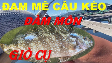 Câu Cá Biển - Câu Cá Giò | Đam Mê Câu Kéo - DƯƠNG 91