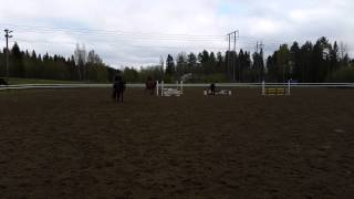 Linn och Lucifer del 1 20150520
