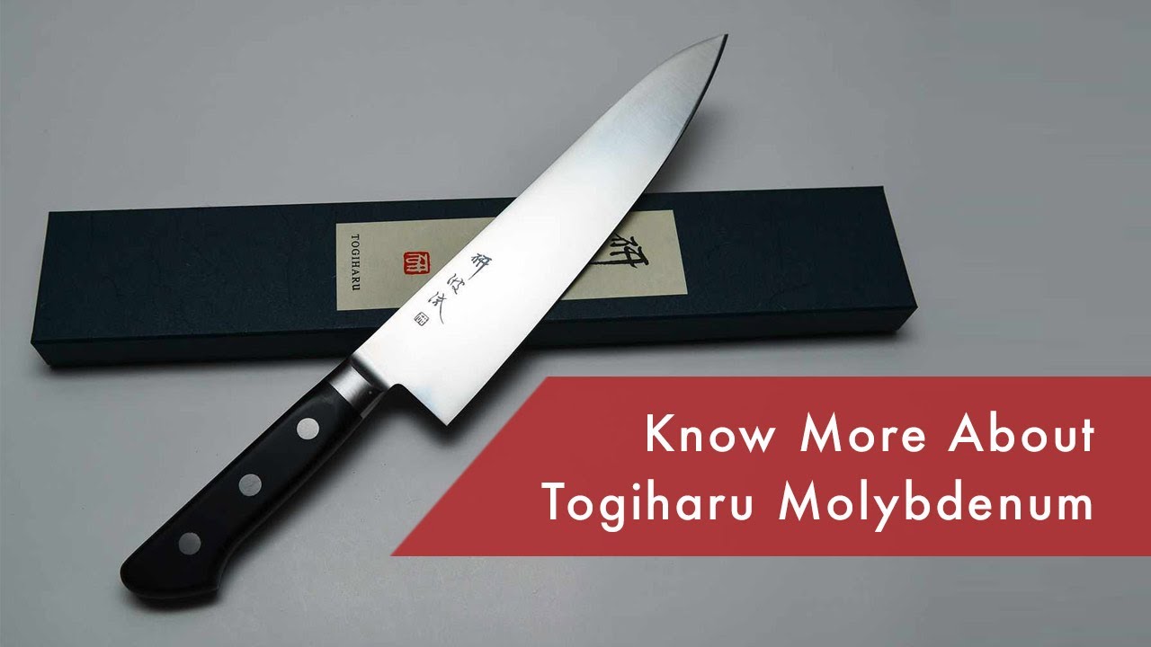 Togiharu Molybdenum Sujihiki 10.5