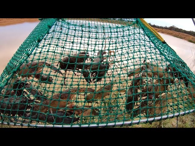 which yabby nets are the best 