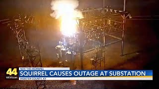 Kenergy: Squirrel causes outage at Dixon Substation