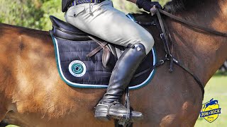 Forestier Saddles | Why They're our Favorite Saddles