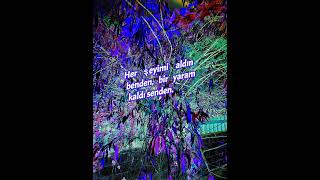 Yaralı Bir Sevda Sözü