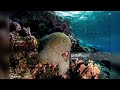 The history of Marshall Islands. Marshall Islands documentary. World Of Knowledge