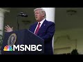 Trump Gives Subdued, Rambling Campaign-Style Speech In Rose Garden | The 11th Hour | MSNBC