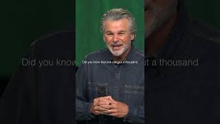 The Miracle Is In What's Left | Jentezen Franklin