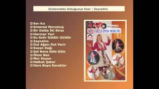 Zeynelim - Elektro Bağlama Ile Sazlı Sözlü Oyun Havaları 3