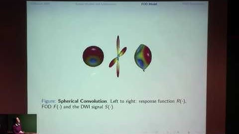 Fiber orientation distribution function estimation by spherical needlets