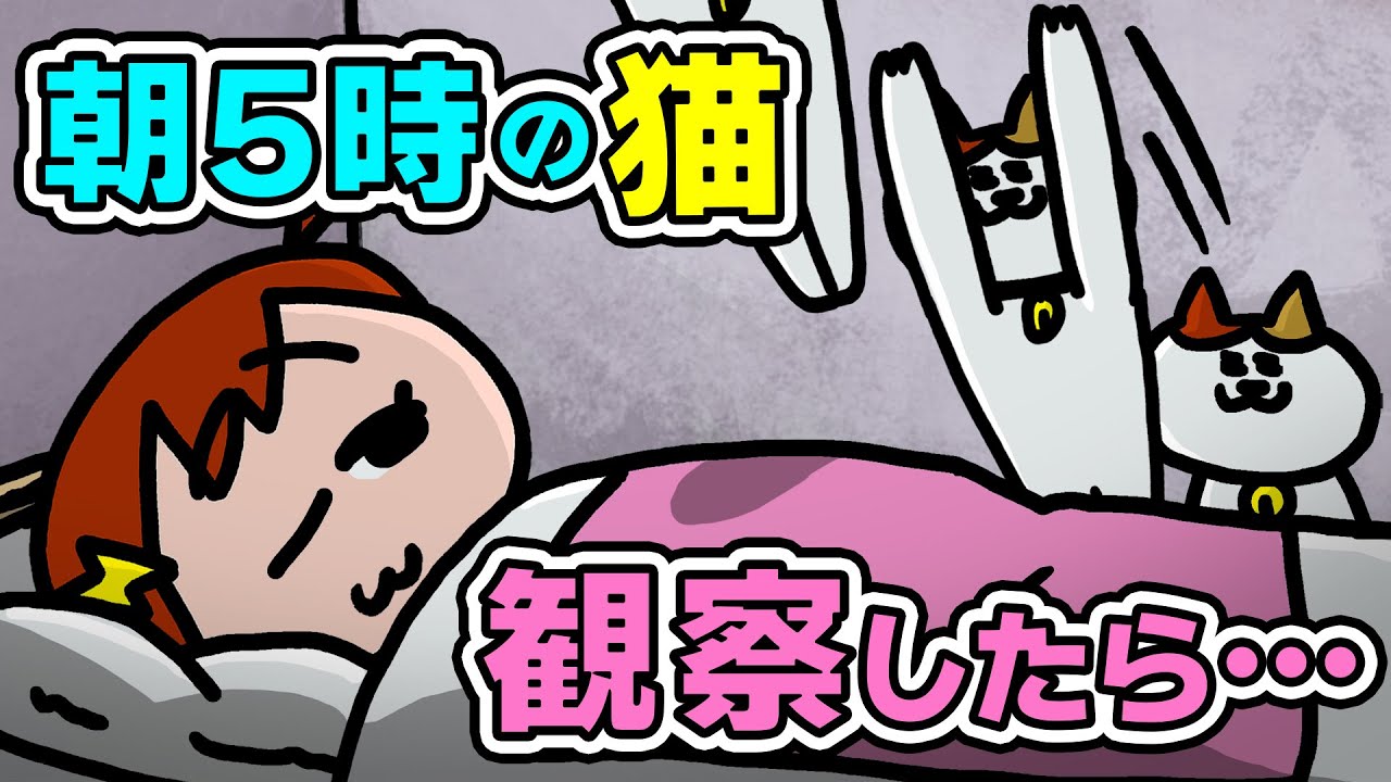 ふざけてるけどただ優しい朝5時の猫ww | ナミミコ - YouTube