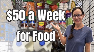 Low Spend April | Spending $50 a Week on Food | Budget Meal Plan and Easy Recipes  screenshot 4