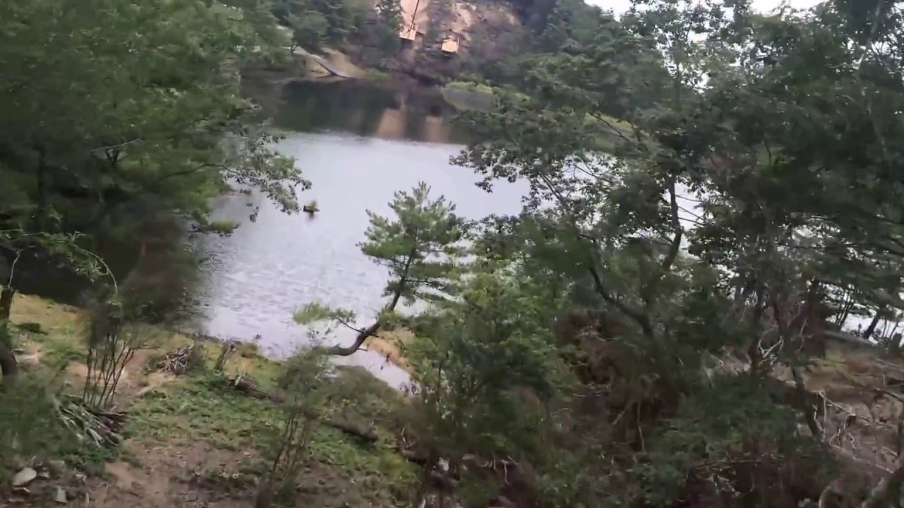 大阪府能勢町 大型アスレチック冒険の森inのせ でジップラインを体験