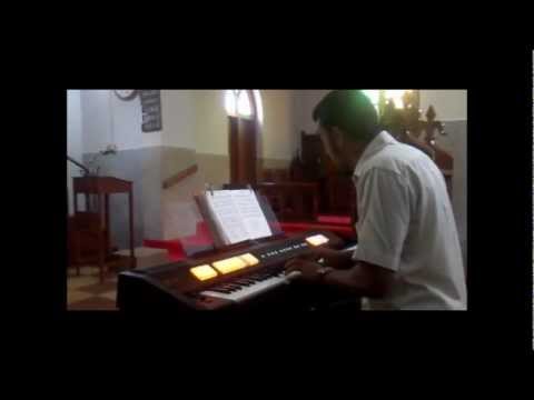 Roland C-200 Classic Organ || Review - Sound Test