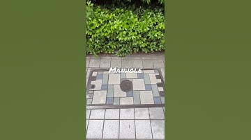 A manhole in Japan.