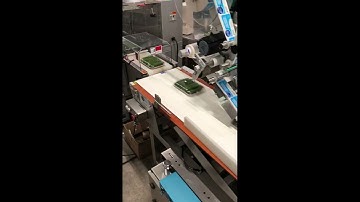 Fully Automatic Tray Packaging Machine with Labeller | ABI System