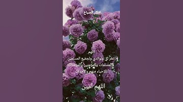 #دعاء #اذكار #صباح_الخير # اللهم _آمين # يارب