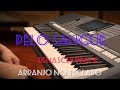 Pelo Sangue (sax) no teclado s750 Renascer praise (praticando versões)