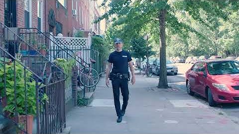 Insight Policing - Using Curiosity to Control Conflict