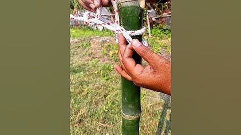 A simple technique for making a strong effective knot