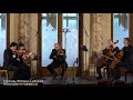 Capture de la vidéo Ein Beitrag Der Festival Strings Lucerne Chamber Players Für #Solidarityformusic.