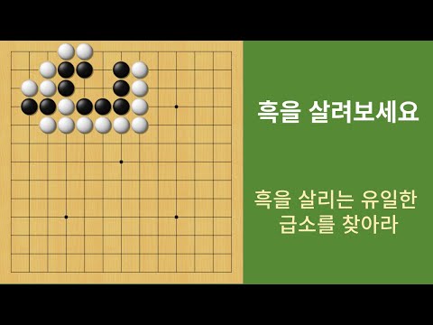 바둑 묘수 사활 (사는 급소 자리가 있다)  흑을 살려보세요