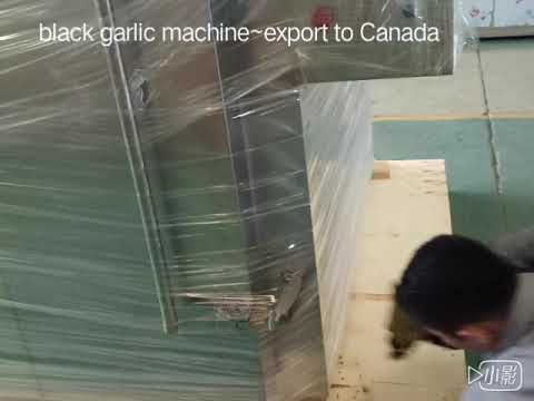 black garlic machine for Canada