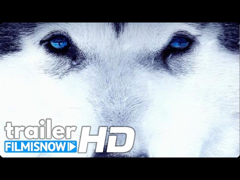 BALTO E TOGO - LA LEGGENDA (2020) | Trailer ITA del film di Brian Presley