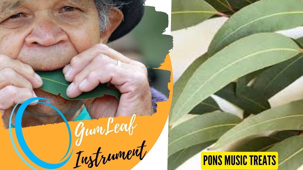 #Gum Leaf instrument# - YouTube