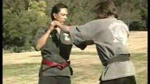 Prof. Abad on Kajukenbo Repetition Part 1 of 2