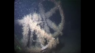 SMS Nurnberg
Underwater video of the wreck of the German light cruiser SMS Nurnberg, sunk as a target ship off Weymouth. SMS Nurnberg