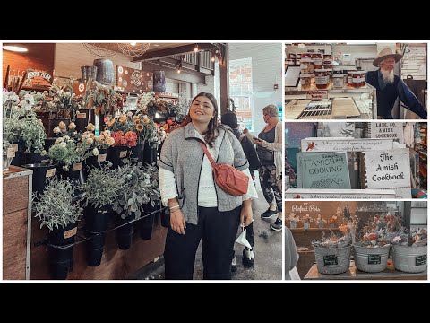 TO NEW JERSEY//როგორ  ავარიდოთ  თავი ფასიან გზებს// ბოლო დღე ლანკასტერში - vlog 4