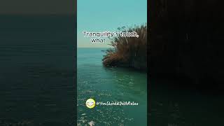Lullaby of the Lake #shorts #tranquility #calm #serenity #lakelullaby #peacefulwater