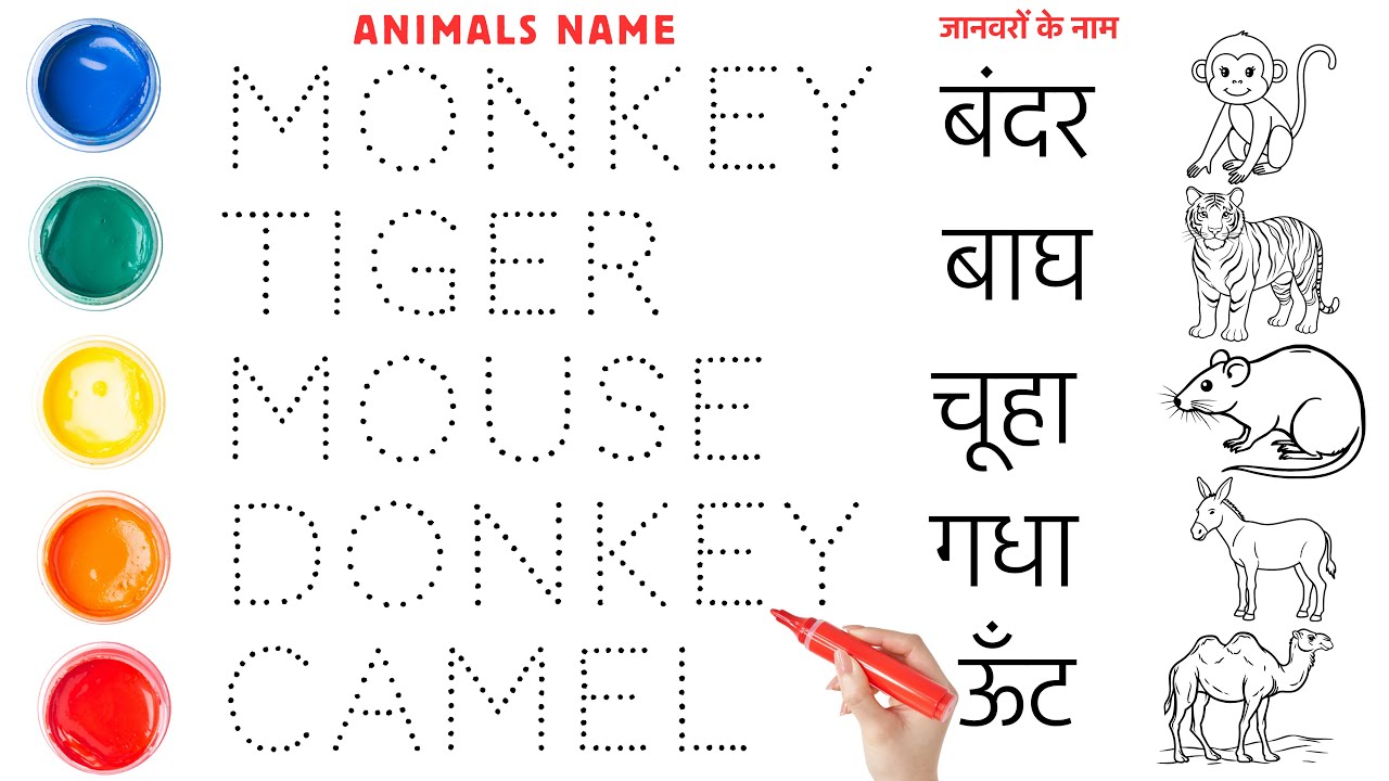 Названия животных на английском и хинди | Названия животных с картинками | Класс по изучению язык...