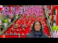 【動画を見るだけで運気アップ!】石段に並ぶひな人形『冨が咲き幸せになる』【遠見岬神社】かつうらビックひな祭り