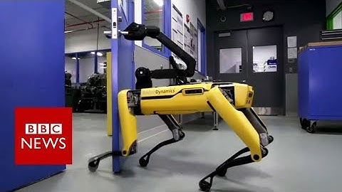The robot that can enter your house - BBC News
