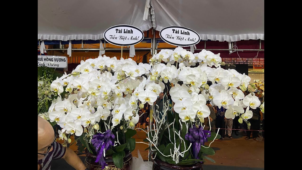 NSƯT VŨ LINH - LỄ NHẬP QUANG