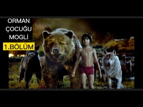 Orman Çocuğu Mogli - 1.Bölüm