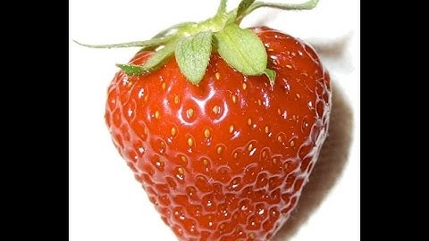 Autodesk Maya 2013 Tutorial - Modeling Simple Strawberry