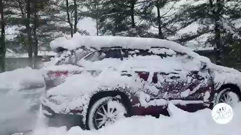 Toyota Highlander in the Snow