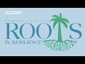 TAKING ROOT: Sanibel launches plan to restore vegetation lost to hurricanes