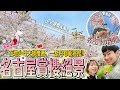 【2024最新】名古屋旅遊必去賞櫻景點秘境9選🌸在地台日夫婦推薦、一整個月通通能看櫻花