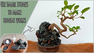 Use small Stones to make bonsai works| Ficus Bonsai