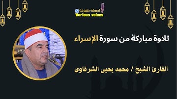 تلاوة مباركة من سورة الإسراء القارئ الشيخ محمد يحيى الشرقاوى من إذاعة القرآن الكريم #سورة_الاسراء