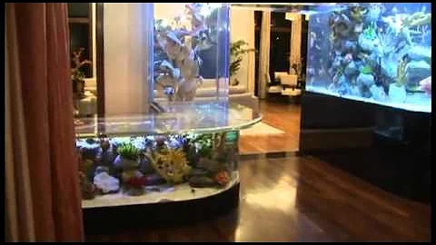 Tour Frank McKinney's Acqua Liana