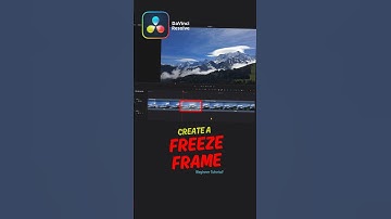 Freeze Frame in DaVinci Resolve FAST (Free & Easy for Beginners)