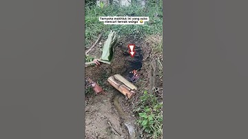 It turns out that this creature likes to steal people